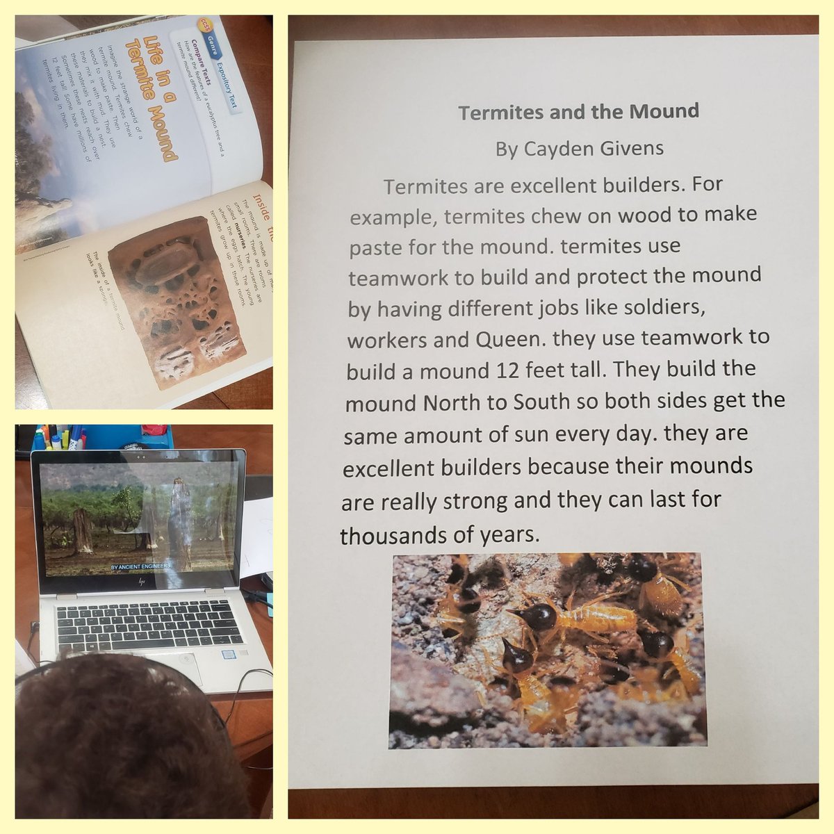 jgivens75's tweet photo. This kid is fascinated by termites. Why not tap into that curiosity? #covid19 #givenselementary #homeschooling #studentinterestmatters #engagecuriosity #termitebuilders #ela #discoveryed #readingandwritingconnection @BCPS_ELA @CatonsvilleES @DiscoveryEd https://t.co/0Rm2TCzlD5