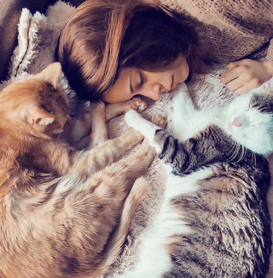 CatLoversCommu2's tweet photo. ❤️❤️
#cat #cats #CatsOfTheQuarantine #CatsOfTwitter #CatsOnTwitter #catsphotography #catsimage #catsonlockdown #WednesdayWisdom #AprilFoolsDay https://t.co/nQQKv4QGHs