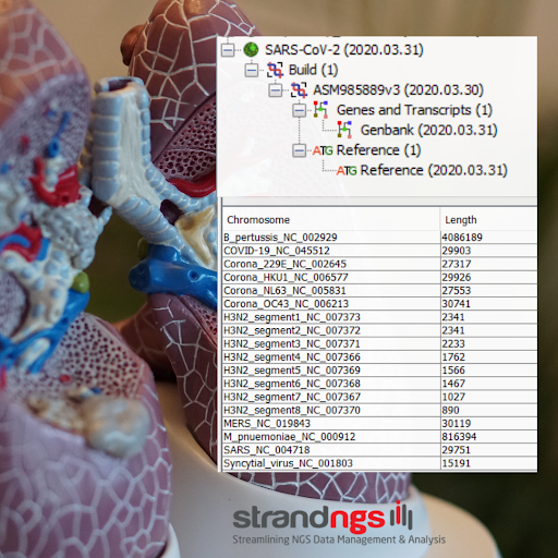 strandngs's tweet photo. Combined annotations of #SARSCoV2 causative of #COVID19 and all other major respiratory #infections causing microorganisms now available in #strandngs! https://t.co/tlCHXMioAY