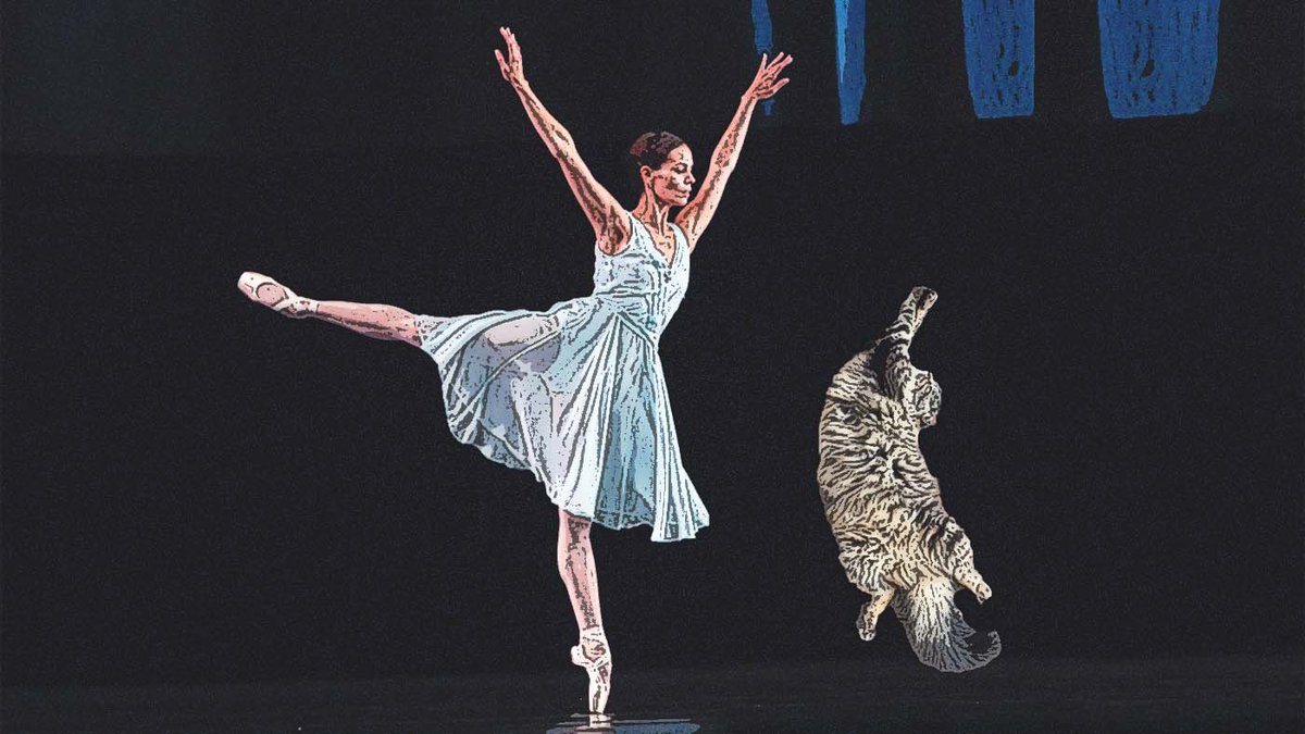MorboAalst's tweet photo. @happymadisson Kitty just want to dance !

My style of edits for this one is "comic", so i hope you enjoy this one.

If you do, i do these edits to battle mental health and financial struggles. Any help is most appreciated (never obligated) at https://t.co/6keVe7Dk6Y , Have a great day! https://t.co/hRRChu0PDU