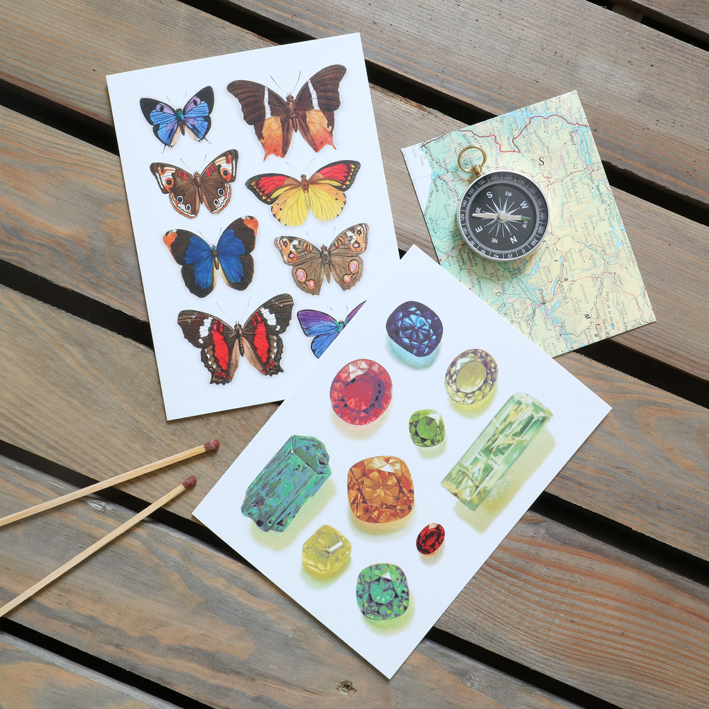 A couple of cards from our Curiosities range 🐞 view our full greeting cards collection by visiting the website!⠀⠀
.⠀⠀
.⠀⠀
.⠀⠀
.⠀⠀
.⠀
#porticodesigns #stationery #stationeryaddict #stationeryfinds #photography #curiosities #butterflies #pattern #shells