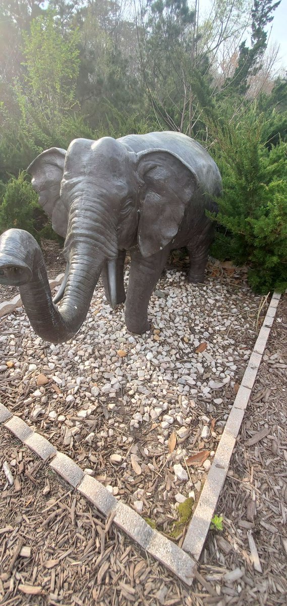 Paradise Activities in Williamsburg tweet media