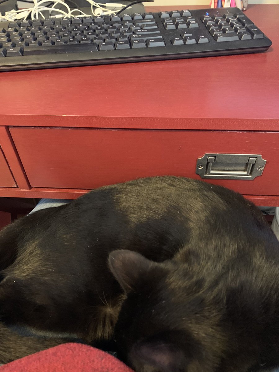 ChuckGregory20's tweet photo. Shhhh. Don’t wake the cat! #GPI1966 #gpicalmcoolconnected https://t.co/X7qskNK4lL