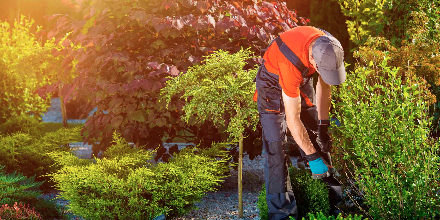 Let’s talk numbers. 📊 Did you know the landscape industry is a $99 billion business, employing more than one million people and representing 500,000+ businesses? landscapeindustrycareers.org/discover-the-i…