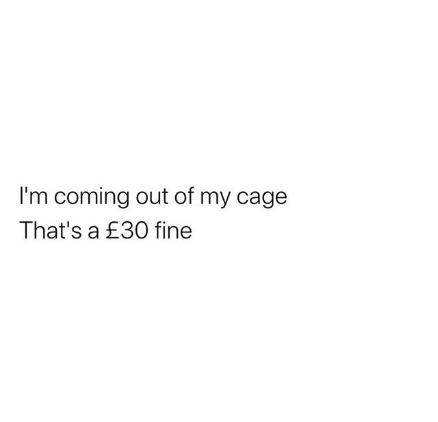 Propaganda Sheffield tweet media