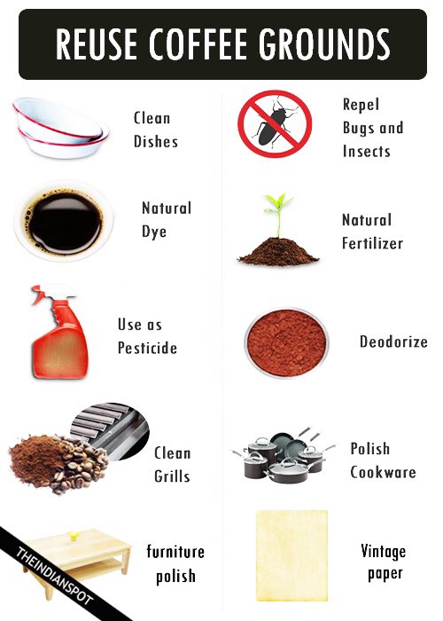 harrietfudge's tweet photo. Rhea asked if we can recycle ♻️ our old coffee beans? It turns out we can! @tv_witt #recycling #homeschool #schoolofsmith https://t.co/GI8bXxHkS8