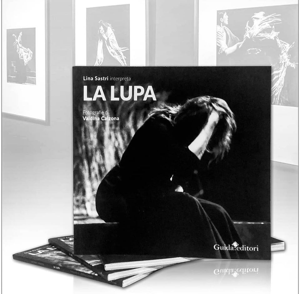 dieguida's tweet photo. Una raccolta fotografica su Lina Sastri di Valdina Calzona
Foto di scena attraverso gli scatti della fotografa siciliana
#iorestoacasaaleggere #ioleggoacasa #iorestoacasa #tempodilibri #ilmaggiodeilibri #linasastri #leggereacasa #lettura #leggerechepassione #fotografia https://t.co/DY3wkYaloL