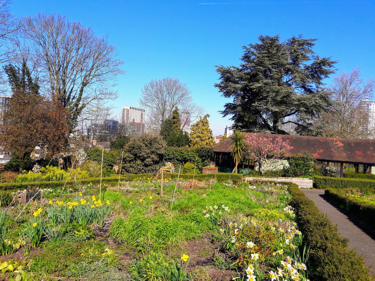KateClarkInfo4U's tweet photo. #ClarksProgress to Park Hill @ParkHillFriends, one of Croydon's many oases. Hope @RCNLibraries staff are managing to get out for exercise as they beaver away helping @theRCN members get the evidence they need for their practice, evidence always important, so vital with #COVID19 https://t.co/Hlujc0BKHj