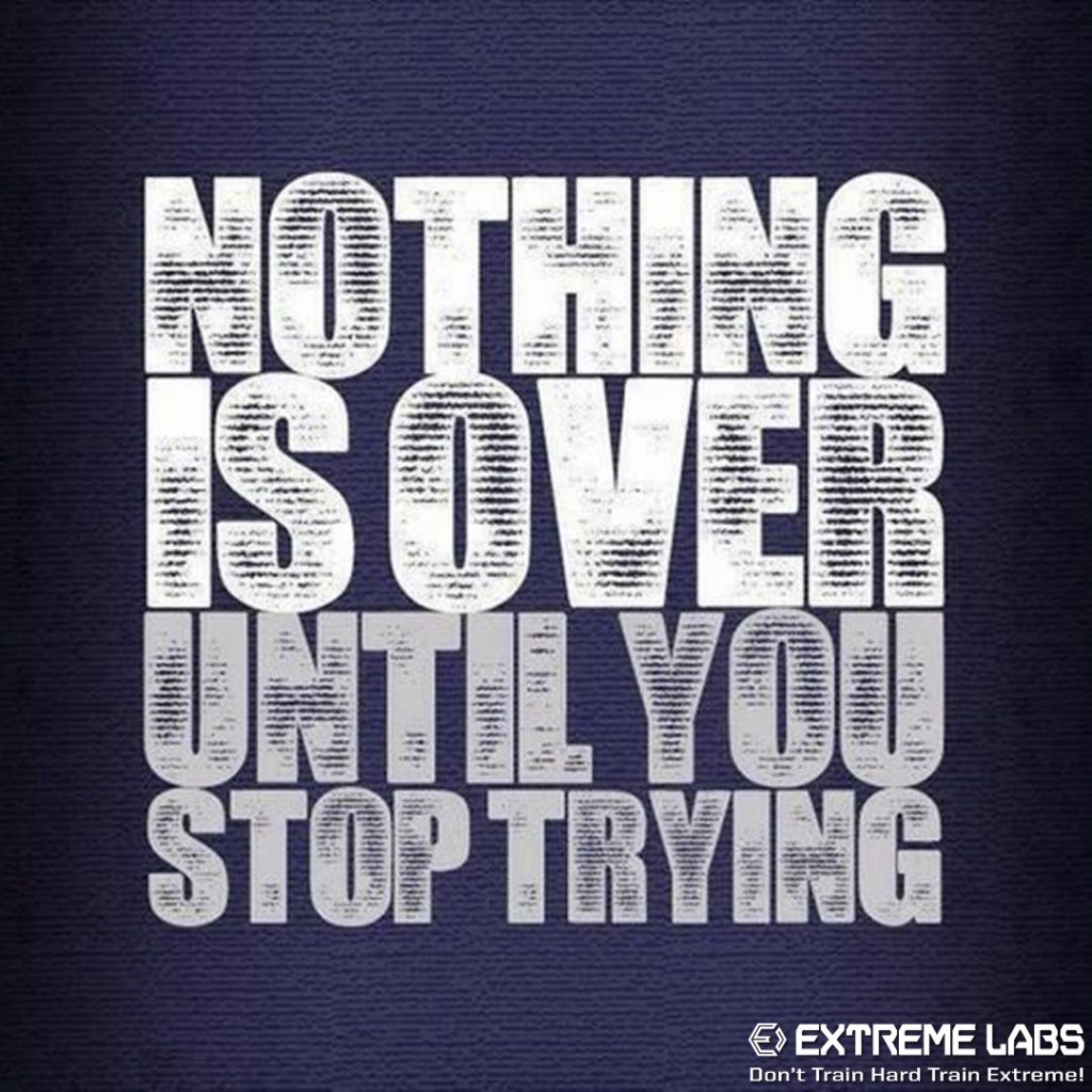 Extreme Labs tweet media