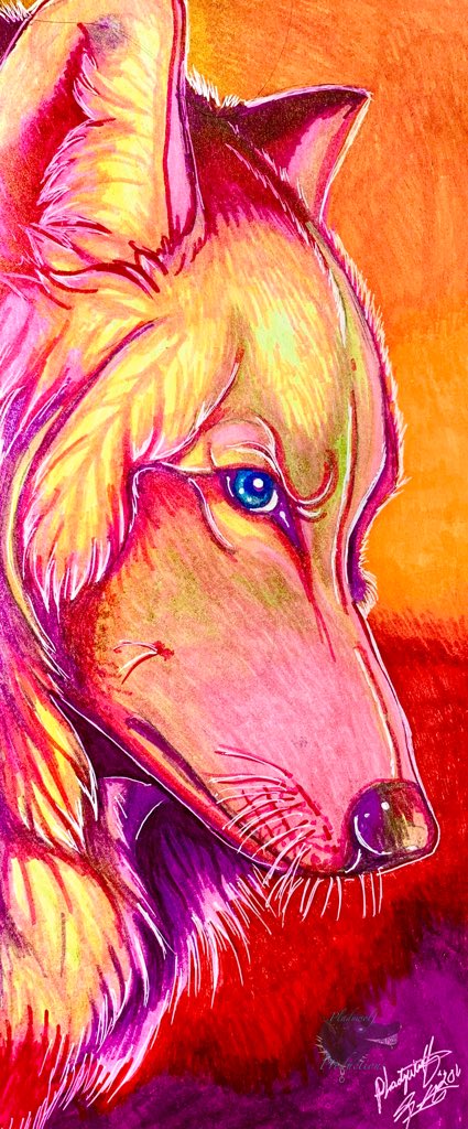 Tiaplady's tweet photo. Summertime - just a simple wolf pinup done with warm colors  for a extreme fantasy feel of another world all together. This sorta has a 80's feel to the colors done with ohuhu markers and white gel pen #ohuhumarkers #artwork #wolfart #fantasywolf #markwrart https://t.co/ohcJqA8w8D
