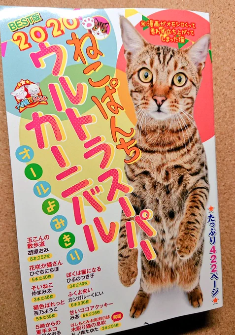 ねこぱんち掲載作品がまとめられた「ねこぱんちウルトラスーパーカーニバル」が発売中です!巻頭にショート8本載っています。老夫婦のお話やリクと勣ちゃんのイチャイチャ回などお気に入りの作品が収録されてるので、是非よろしくお願いいたします! 