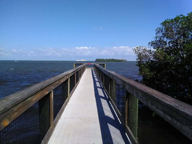 Elina Rantonen completed her HiLife traineeship 
<a href="/HarborBranch/">Florida Atlantic Harbor Branch</a> in the Wildlife Veterinary Research Group led by Dr. Annie Page-Karjian <a href="/MarineVetMed/">Annie Page</a>.Read about Elinas trainee experience from our blog. #eltdk #traineeship #turtles #wildlife bit.ly/2wWBv1h