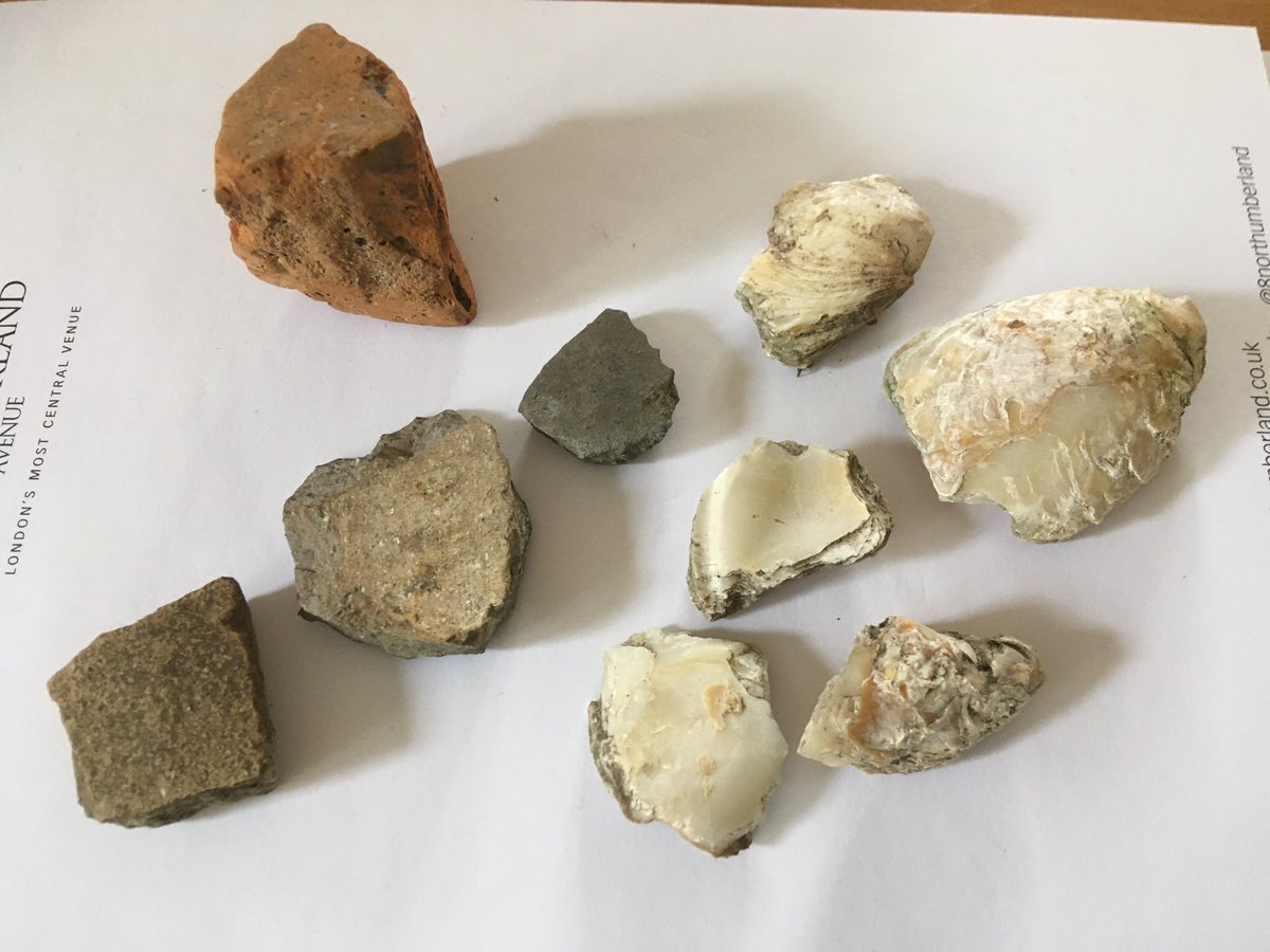 Ashwell museum tweet media