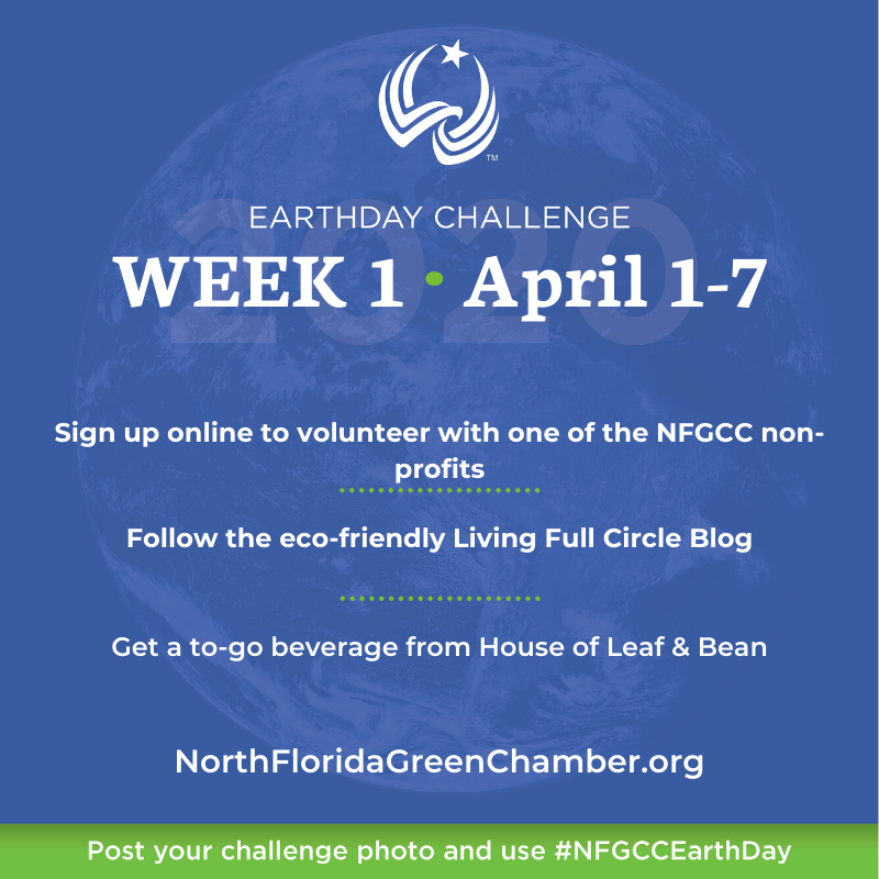 green_north's tweet photo. Welcome to week one of the NFGCC Earth Day Challenge! 
#SupportLocal #NFGCCEarthDay

This week’s challenges are:
Sign up online to volunteer with one of the NFGCC non-profits!
Get a to-go beverage from House of Leaf &amp; Bean!
Follow the eco-friendly Living Full Circle blog! https://t.co/dSnxMaQdY9