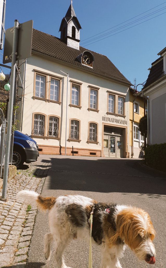 StefanTerjung's tweet photo. Very motivated supporting co-worker sharing a walk during lunch break @EMBL #emblathome #ALMF enjoying the perfect weather https://t.co/6q5QWuquOs