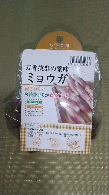 4月1日に、大分県でも1週間の外出自粛要請がでました。
自粛要請中は釣り等は控え、家で池の計画を進めようと思います。
引越してからは誰にも会わずに生活できるので、クロに移してしまう可能性も低いのが良かったです
野菜の苗も買えていないので、以前買っていたミョウガを植えようと思います☺️