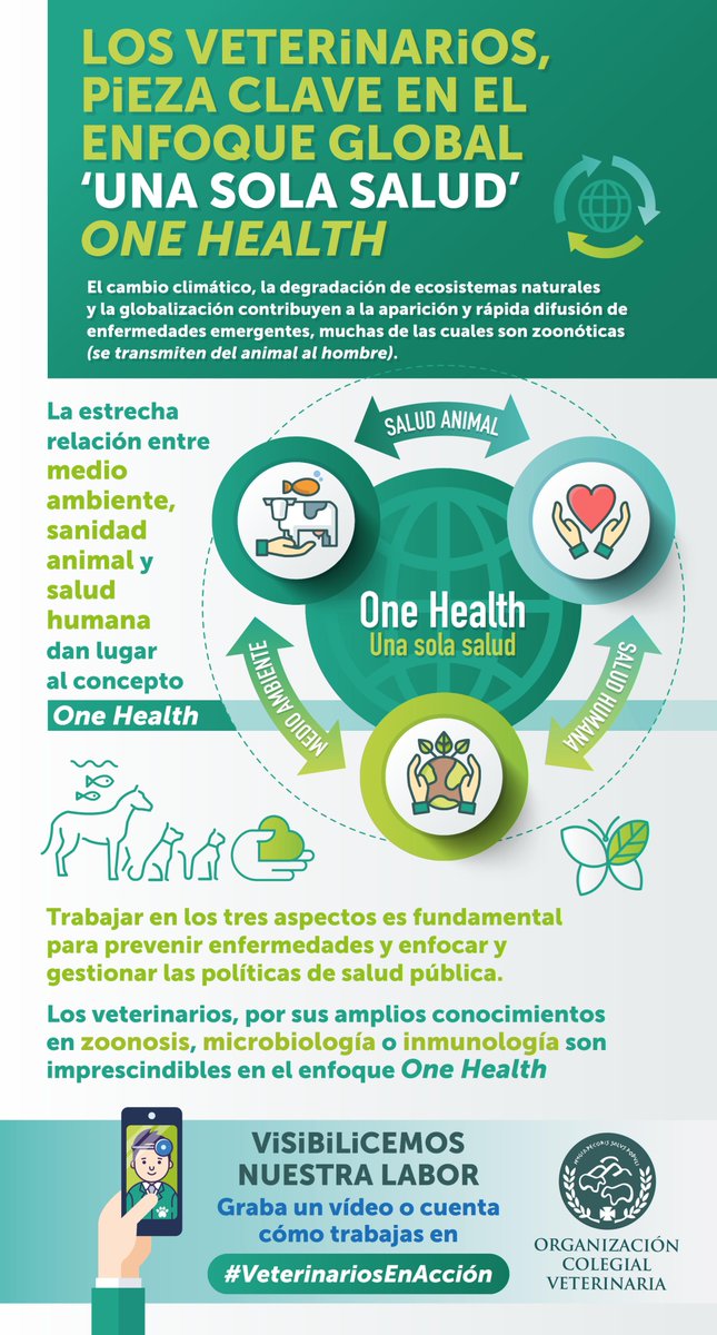 Por nuestro conocimiento en zoonosis, microbiología e inmunología los veterinarios somos una pieza clave e imprescindible en el enfoque 'Una salud': humana, animal y medioambiental #OneHealth #UnaSolaSalud #VeterinariosEnAcción #coronavirus