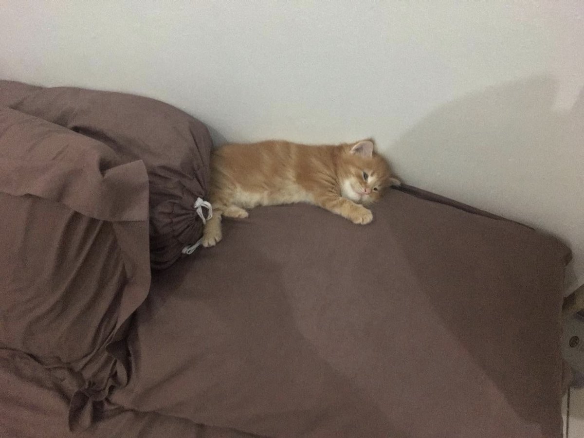 mayrasubhiani's tweet photo. Me after 16 days self quarantine : https://t.co/aGvUYGFU2x