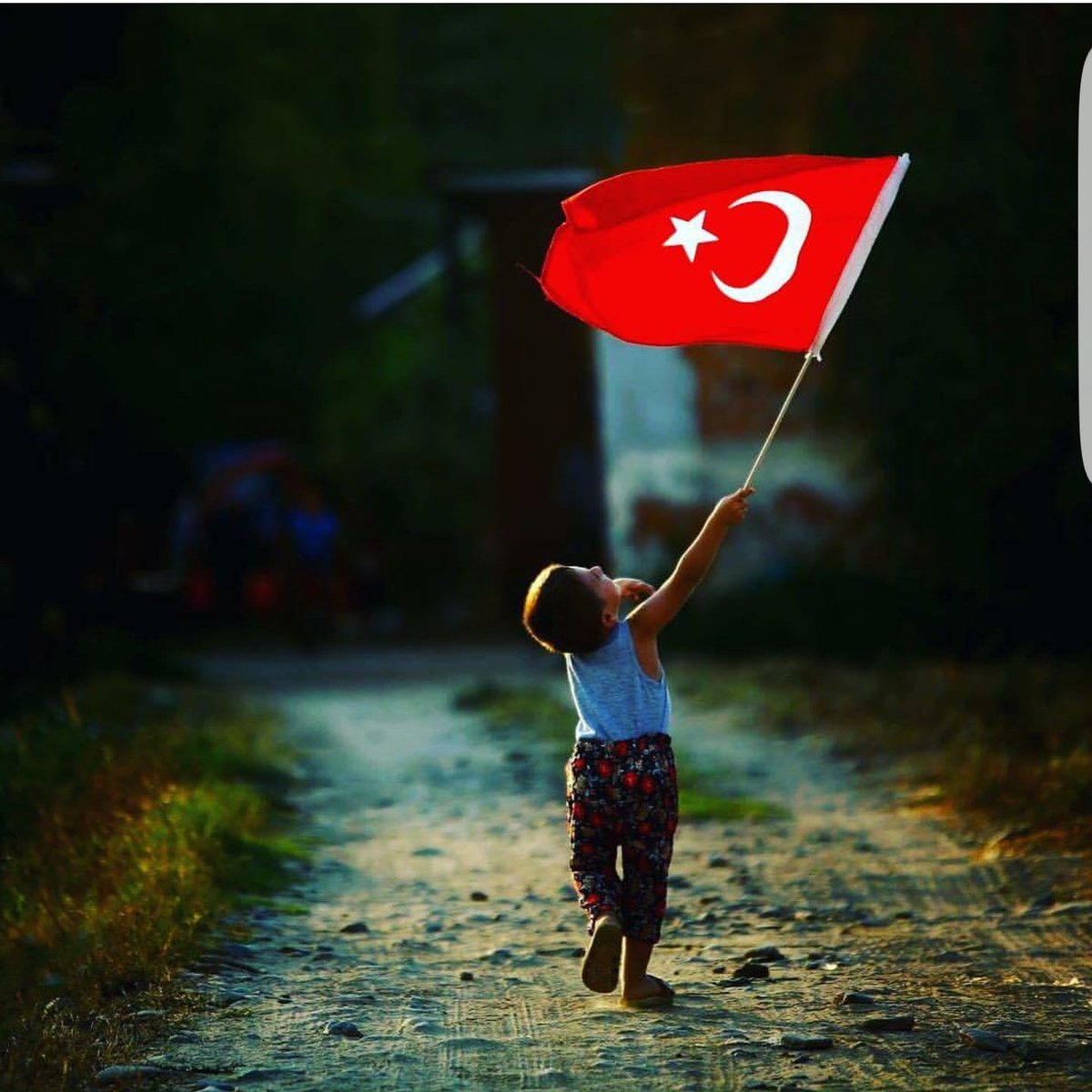 islamveedebiyat's tweet photo. Gidişata bakıp da üzülme, sabırlı ol. 
Sabır acıdır, fakat meyvesi tatlıdır.        

Şeyh Sadi Şirazi https://t.co/4MnVY2q7IA