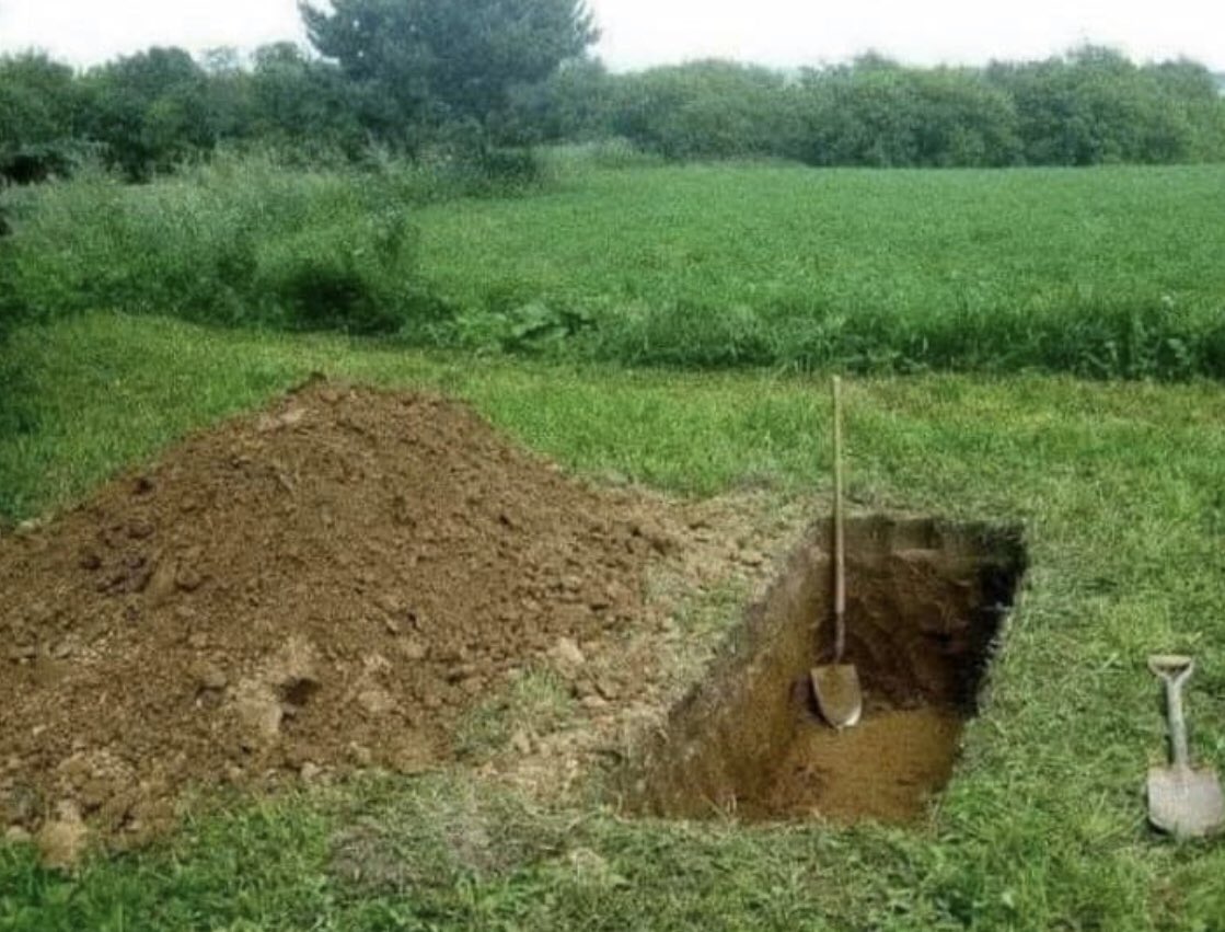 miinute_'s tweet photo. *Day 7 of quarantine*

My wife took up gardening but won’t tell me what she’s going to plant https://t.co/67HKGR3tde