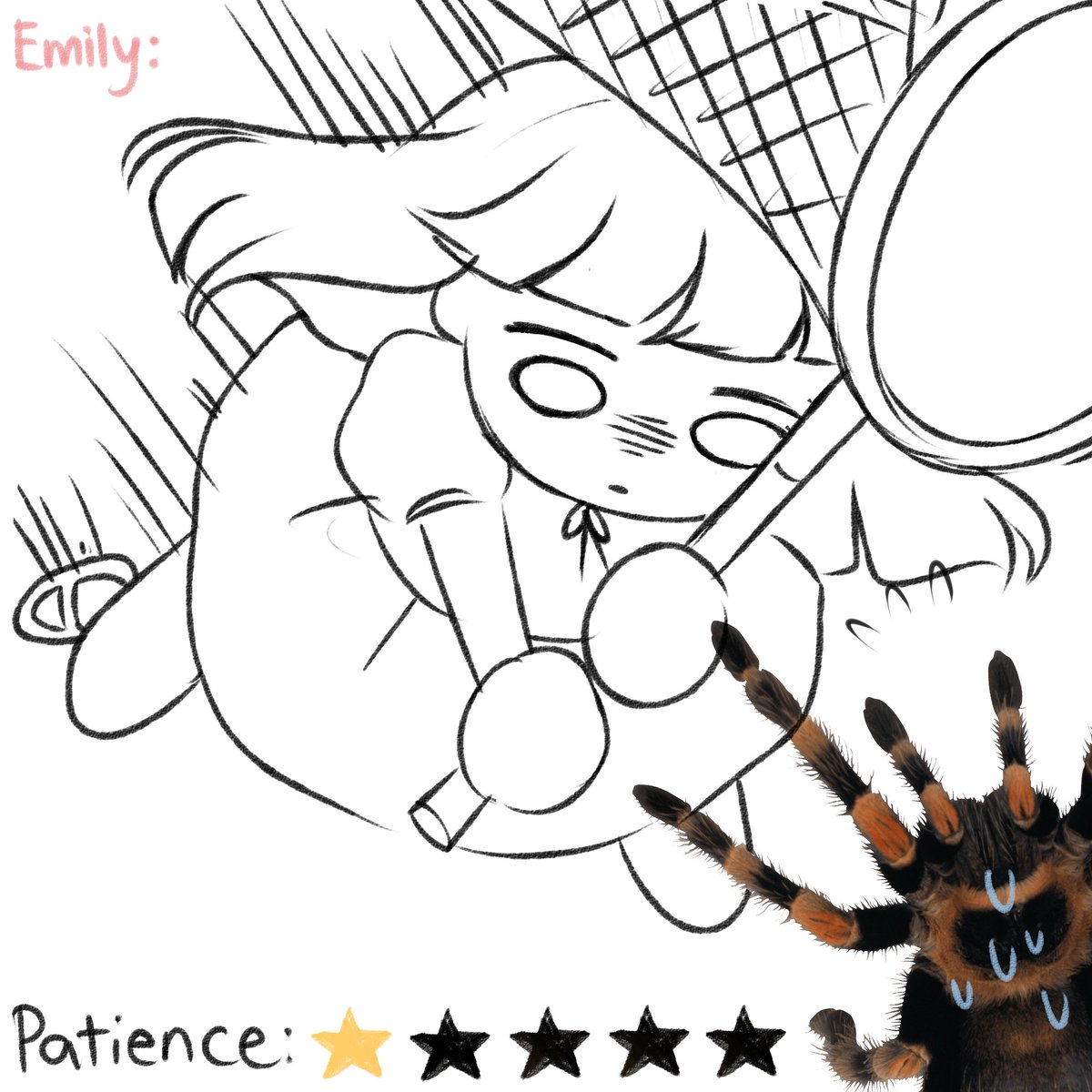 "How do you catch Tarantulas in Animal Crossing?" 