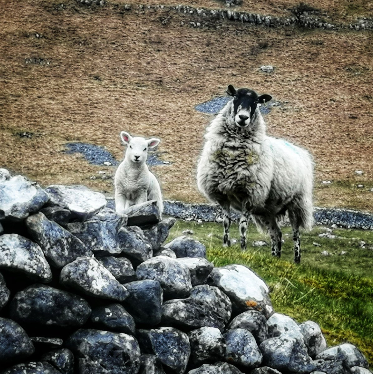 boddycopy's tweet photo. Thanks to everyone @Senior_Systems for supporting your suppliers and customers at this difficult time, we really appreciate it. And here's my #PositiveView of the day taken on my one daily walk from my home office. #WFH #InThisTogether https://t.co/oBRbfpyo0S
