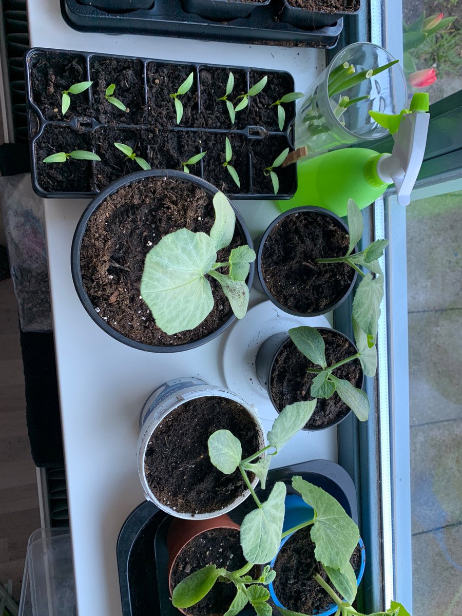 More time for growing plants and gardening :)