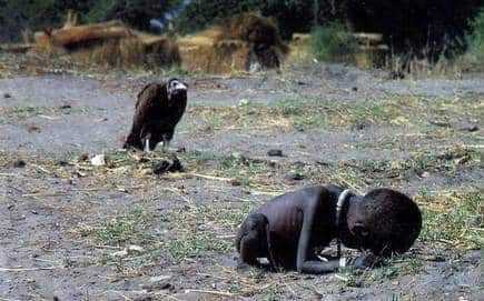 The Vulture was waiting for the child to die so it could pounce on the body. This photo was taken by Kevin Carter, a prolific photojournalist, during the famine of 1993 in Sudan. This photo later won Kevin the Pulitzer prize for an 'exceptional' caption. Thread....✍