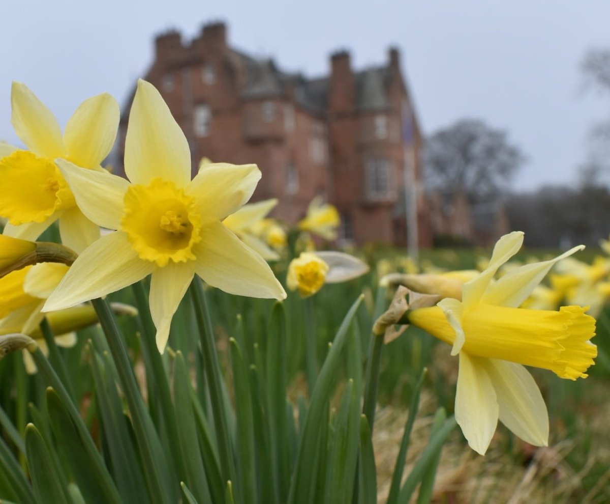 The Cringletie estate is closed but the flowers are blooming.
As soon as we have a date to re-open we'll let you know.
#StayHome #StaySafe