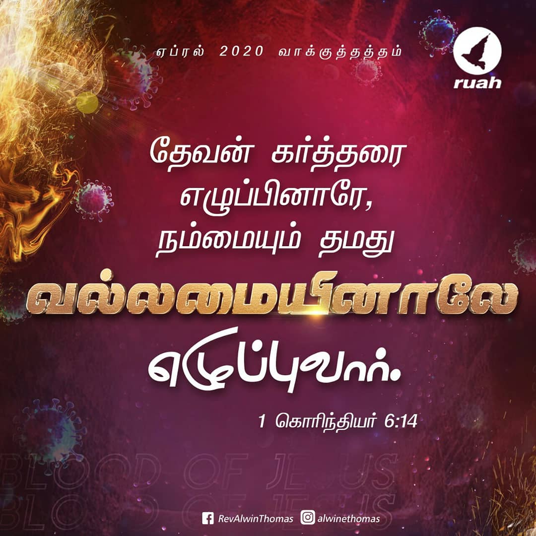 alwinthomas's tweet photo. APRIL 2020 PROMISE VERSE
By his power God raised the Lord from the dead, and he will raise us also.
1 Corinthians 6:14(NIV)
#april2020 #promiseverse #powerofGod #raiseus https://t.co/gbFtpZrnhh