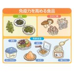 食べ物から免疫を高めよう!免疫力を高めるのに効果的な食べ物はこちら。