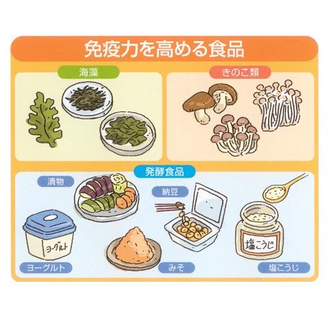 食べ物から免疫を高めよう！免疫力を高めるのに効果的な食べ物はこちら。