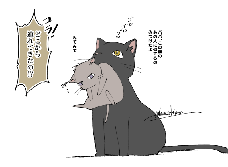 なんか拾ってきた 