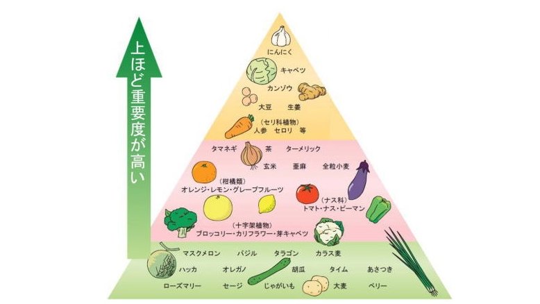 食べ物から免疫を高めよう 免疫力を高めるのに効果的な食べ物はこちら 話題の画像プラス 食べ物から免疫を高めよう 免疫力を高めるのに効果的な食べ物はこちら 話題の画像プラス