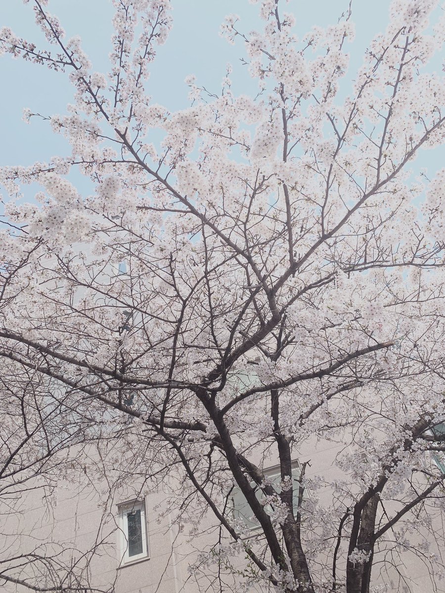1team_twt's tweet photo. [#1TEAM #제현 #JEHYUN]
오늘의 노래 추천!!
강다니엘 (KANG DANIEL) - Jealous

여러분~ 
꽃처럼 아름다운 하루 보내셨나용?? 
오늘도 수고해써여!!😊 https://t.co/S4YUI0KmPK