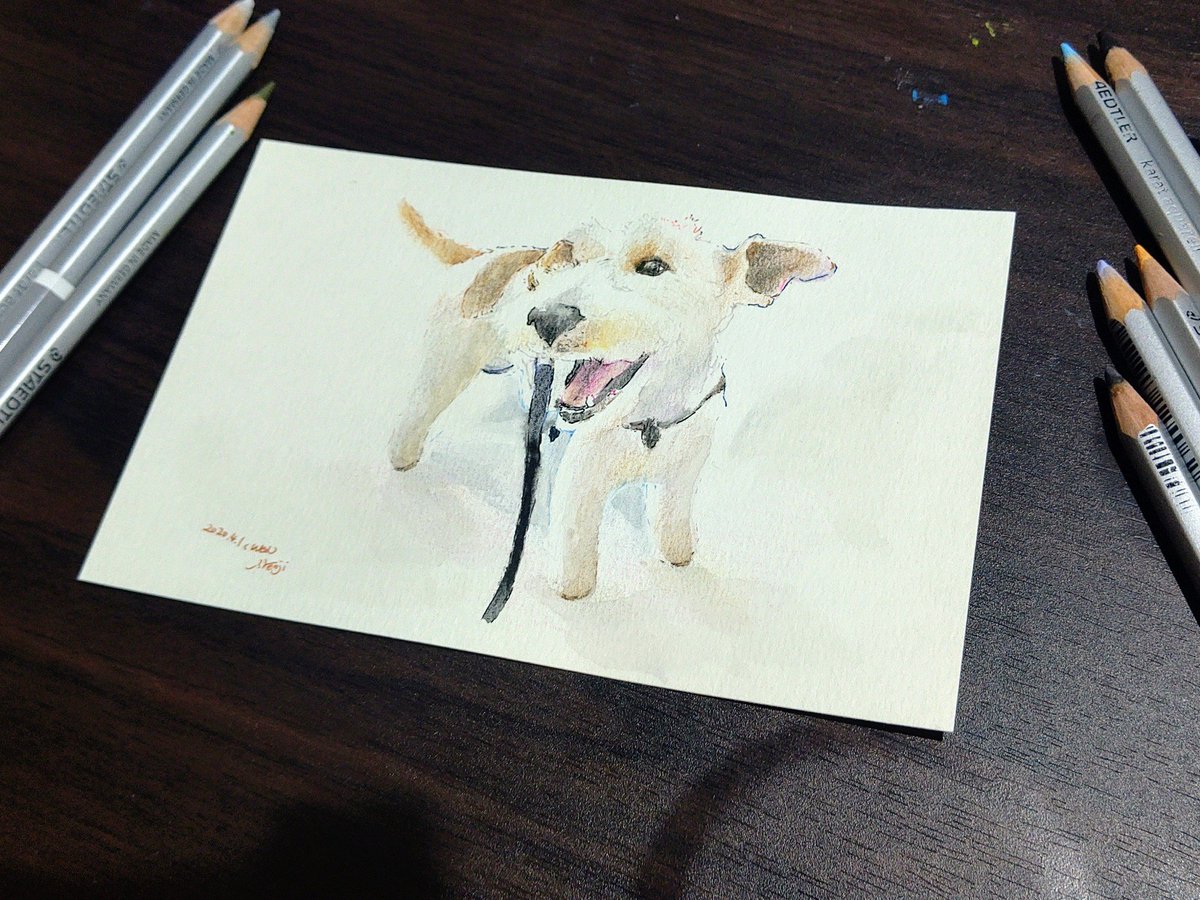 Ino Kenji En Twitter 完成 愛犬 ペット ワイヤーフォックステリア テリア カラーボールペン 色鉛筆 ペット 水彩色鉛筆 イラスト イラストレーター ペットイラストレーター Cutedog Dog Illust Colorballpen Wirefoxterrier Terrier