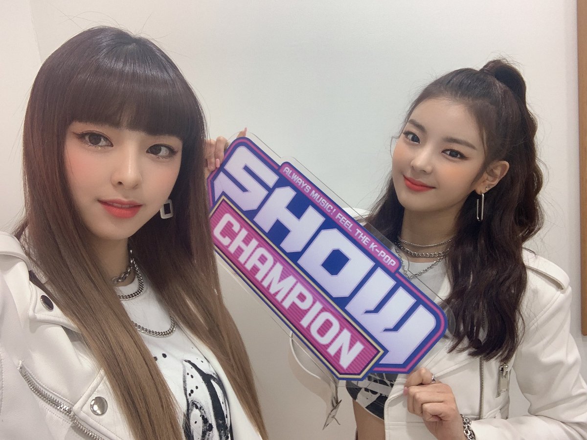 show champion update