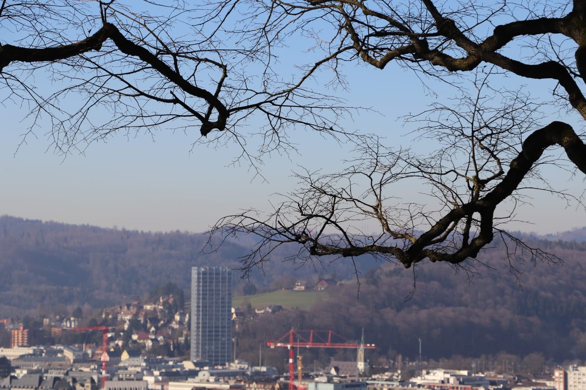 Die Stadt Winterthur erklärt das «Bäumli» auf dem Goldenberg zum Sperrgebiet. Die Sperre gilt ab kommenden Freitag, 12 Uhr. Die Stadtpolizei hat festgestellt, dass sich dort ein Teil der Bevölkerung nicht an die Social-Distancing-Regeln gehalten hat.