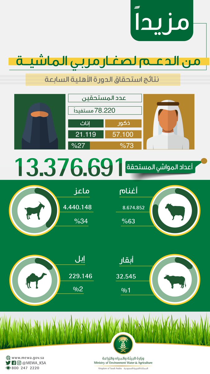 رقم دعم المواشي الموحد