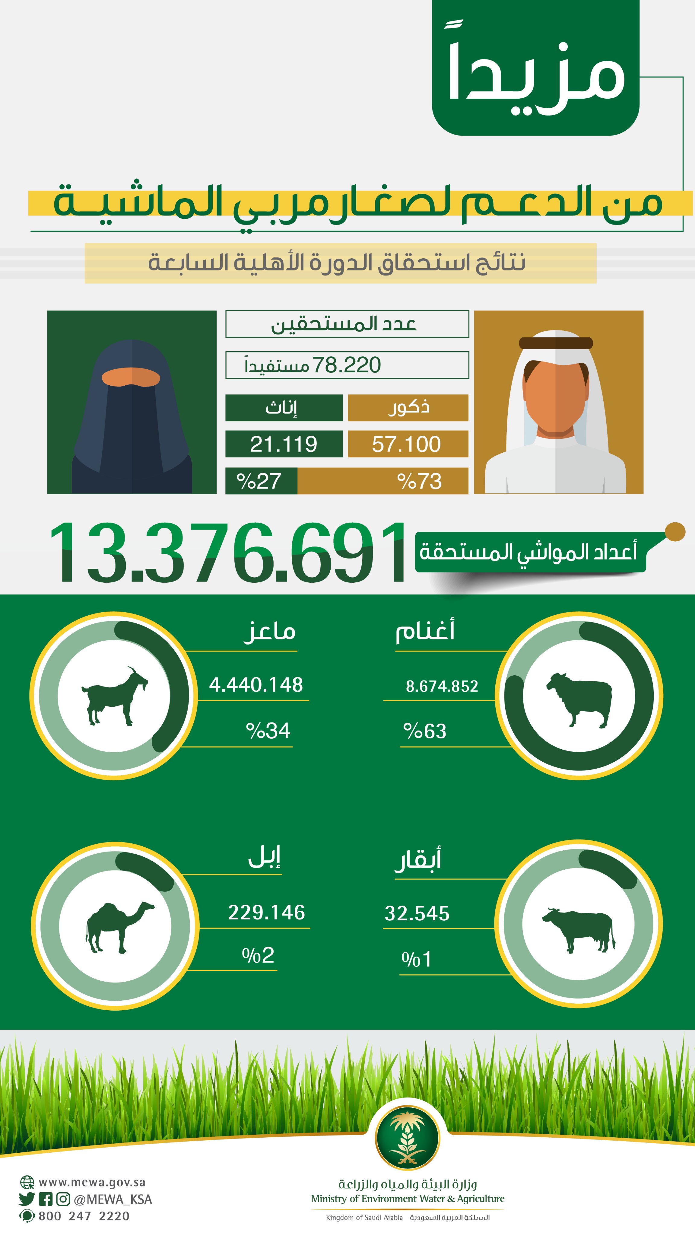 موعد نزول دعم المواشي