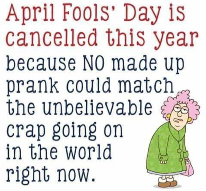 Howdy_Moe's tweet photo. Ain’t that the truth... https://t.co/DJqdLKzFJk