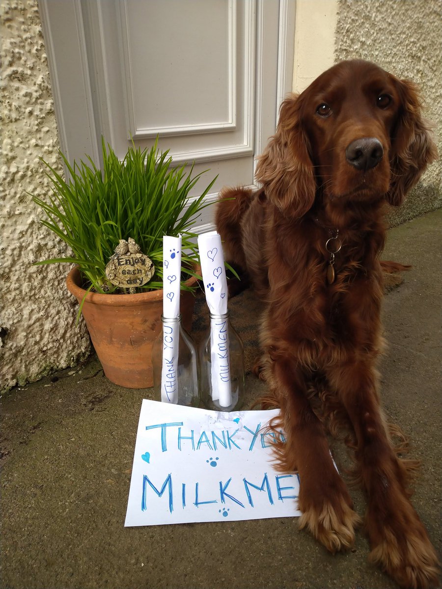 Thank you <a href="/DairiesMcqueens/">McQueens Dairies 🥛</a> for delivering milk and orange juice to our house 🥛🍊🙂
#milkmen #redsetter #scotland #thankyou