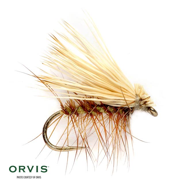 TroutUnlimited's tweet photo. The TU-@loonoutdoors #SpringFlyShowdown is down to eight. The first matchup today pits the #RoyalWulff up against the #ElkHairCaddis. What's your pick for the winner? https://t.co/KPVzA1TAsx https://t.co/cUr8WUSYxW