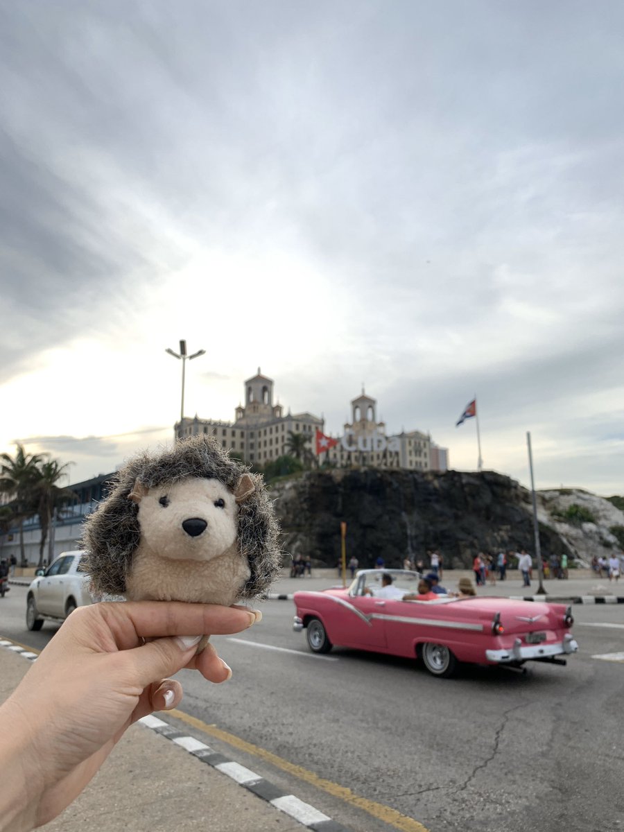 ZoyaKafka's tweet image. Төсөөллөөс тэс өөр байж шоконд оруулсан Куба 🇨🇺. Мохито нь л гоё бсан. Сайхан дурсамж юм даа. Монголд ирчээд яаж тийм болсныг нь ойлгохоор хичээж баримтат #кино хүртэл үзэж билээ ккк. Кубачууд 500 жил хайж бгаа эрх чөлөөгөө удахгүй олох болтугай! 🙌 #аялал zoyakafka.com/2018/12/30/%d1…