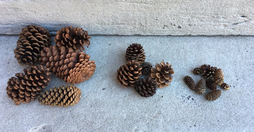 eriksonmath's tweet photo. Here is a "playful invitation" using a BIG IDEA: All measurement involves a “fair” comparison. From @playfulinvite

https://t.co/ZrMaMwFql2 https://t.co/zye1MNHRvW