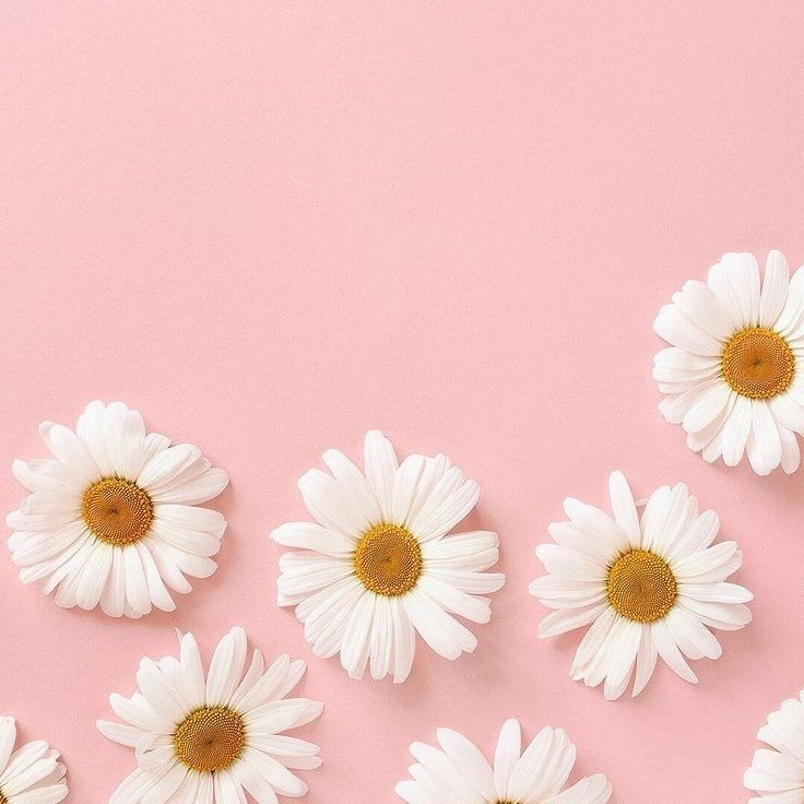 💗💭💗💭💗💭