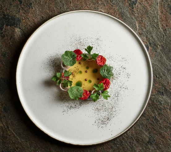 GiftAPandaHQ's tweet photo. Following CNN's 20 of the world's best new restaurants for 2020.

Have you been to any of these?
Do you agree with them? 
Which one is missing?

https://t.co/BUkLogtmXD

#4/20: TURK Fatih Tutak, Turkey https://t.co/8zAMMLTAO2