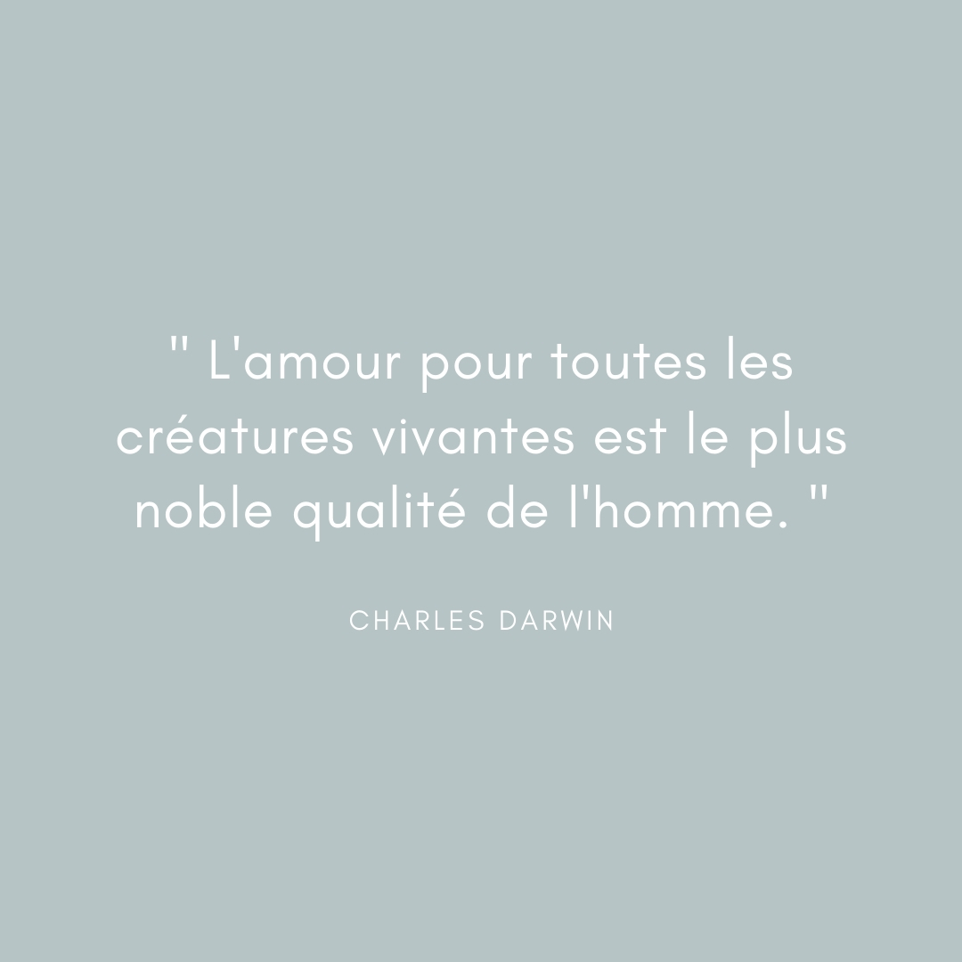 Steam Your Life La Citation Du Jour Citationdujour Reflexion Inspiration Aspiration Vie Bienetre Spirituelle Conscience Nature Creature Vivante Curiosite Terre Charlesdarwin Amour Proverbe Citation Quote T Co Steam Your Life La Citation Du Jour Citationdujour Reflexion Inspiration Aspiration Vie Bienetre Spirituelle Conscience Nature Creature Vivante Curiosite Terre Charlesdarwin Amour Proverbe Citation Quote T Co