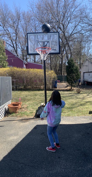 Plainville Schools tweet media