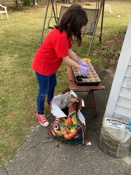 Plainville Schools tweet media